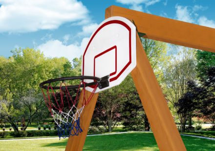 A Basketball Hoop.