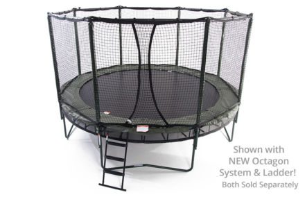 Trampoline with ladder and safety net