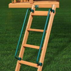 Safety handles on ladder