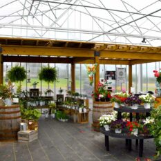 10' x 20' Hollander Wood Pergola